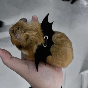 Alas de Murciélago para Hámster